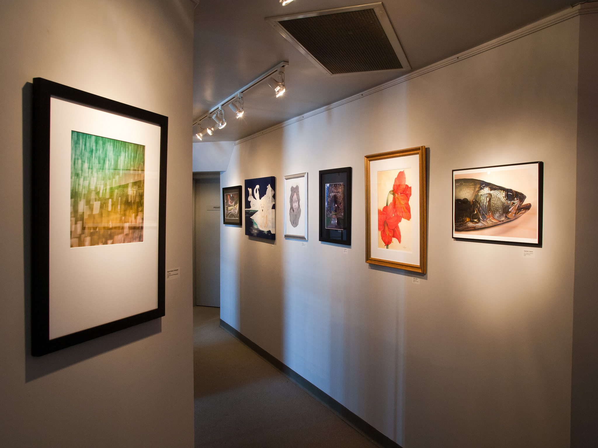 24176767294_af2f27ca4c_k