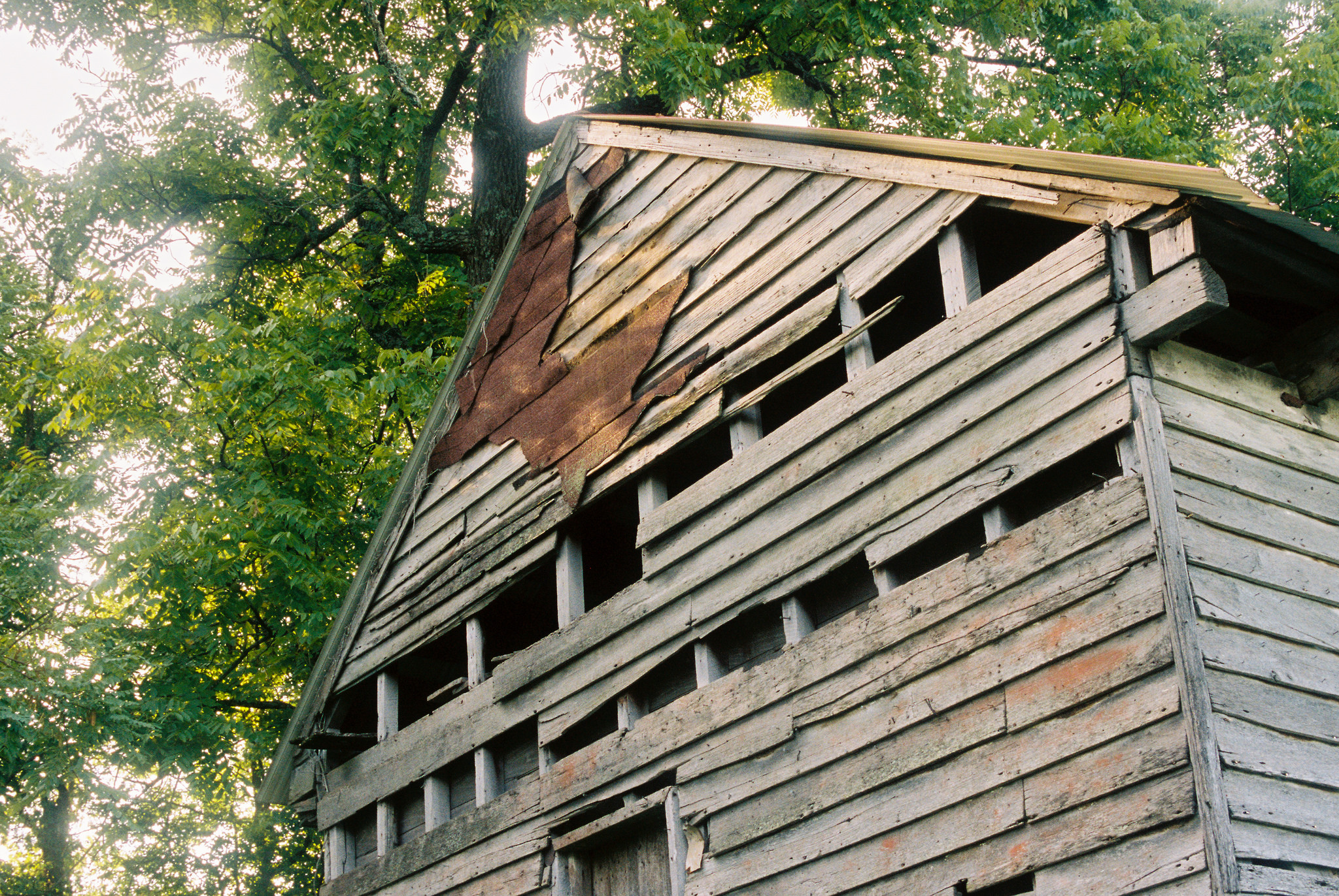 28156858513_4235d7104b_k