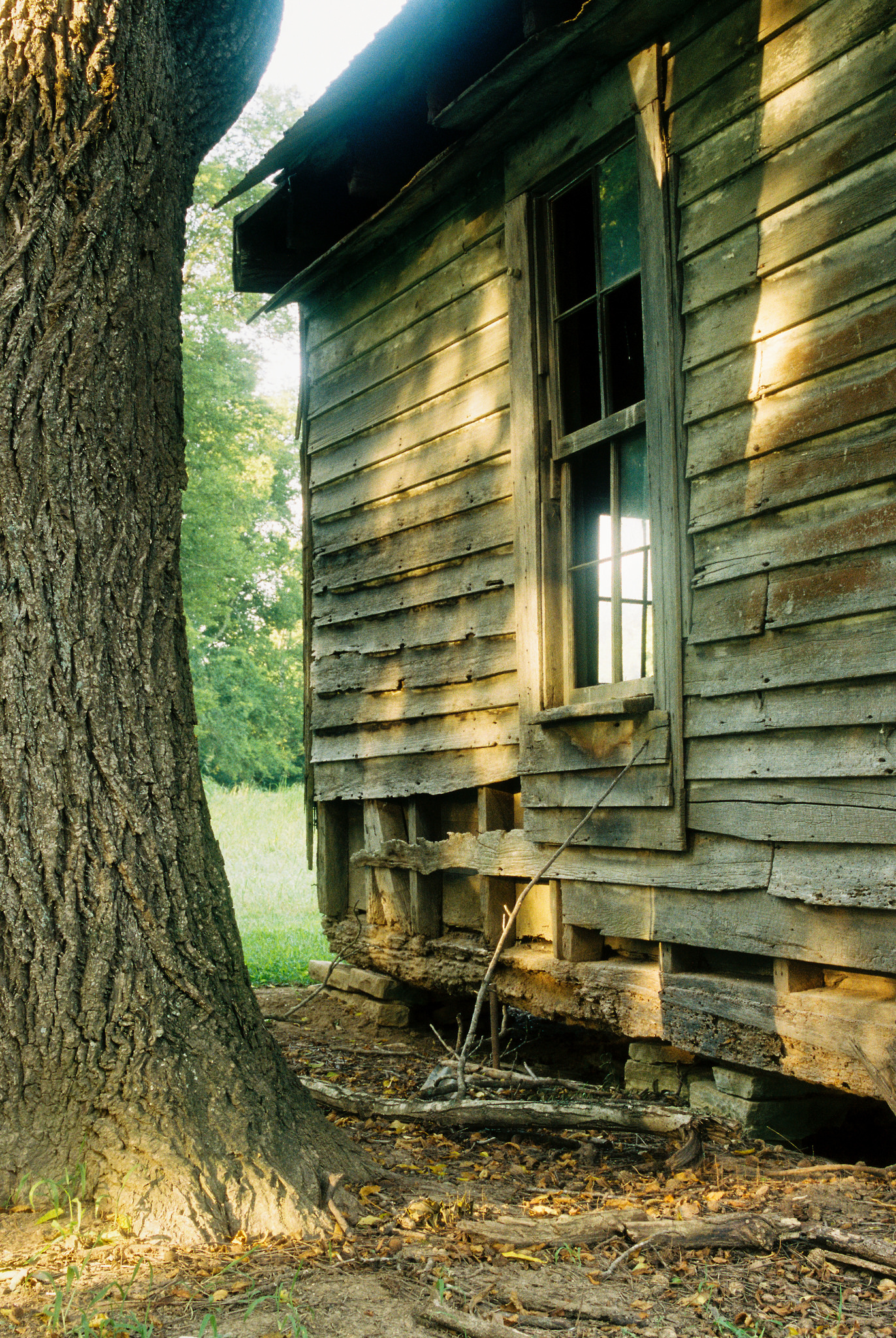 28740433006_9f04cdfb6f_k